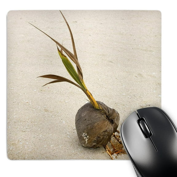 3dRose, French Polynesia, Honeymoon Island, Beach Coconut - OC14 BJA0039 - Jaynes Gallery, MousePad