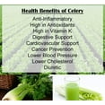 thumbnail image 3 of Just Naturals Organic Celery Powder, Dehydrated, 50gm, 25 Servings, Vegan, No Additives, No Preservatives, Non-GMO, Made in Canada, Perfect for Juicing, Smoothies & Clean Eating, 3 of 6