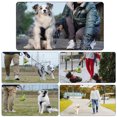 Clearance 2PCS Dog Poop Bag Holder, Waste Bag Holder, Dog Poop Bag
