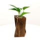 thumbnail image 4 of Florero hidropónico Baoblaze de madera y cristal, 4 of 5