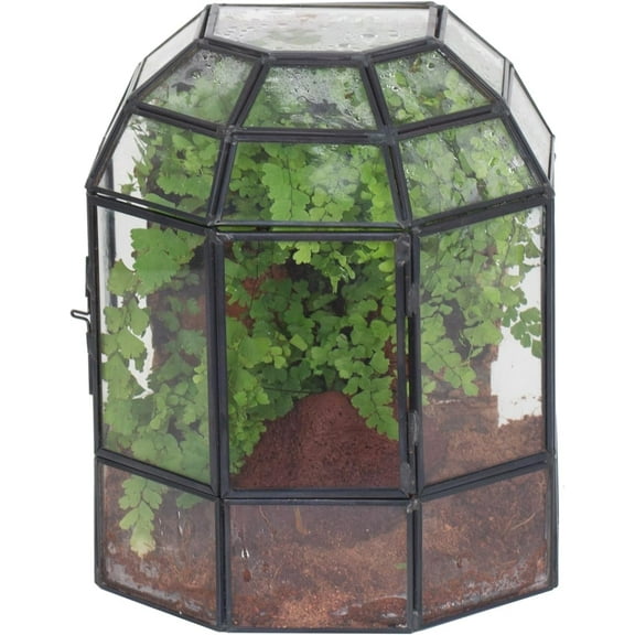 NCYP Half Dome Geometric Glass Terrarium with Door, Closed Succulents Planter Pot, Miniature Landscape Container, Indoor Tabletop Decor, Black (Terrarim Only)