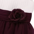 thumbnail image 5 of iEFiEL Kids Girls Chiffon Pleated Flower Girls Dress Birthday Party Pageant Dress, 5 of 7