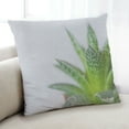 thumbnail image 1 of Ahgly Company Plants Leaves Indoor Throw Pillow, 18 inch by 18 inch, 1 of 6