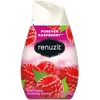 Renuzit Adjustable Cone Solid Air Freshener, Raspberry (DIA03667)
