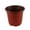 Red4, variant on Haidf 50Pcs Nursery Pots, Plastic Seed Starting Pots with Multi Drainage Holes, Seedlings Flower Plant Container for Succulent Seedling Cutting and Transplanting, Starter Plant Pots, 4.3 Inch, Red