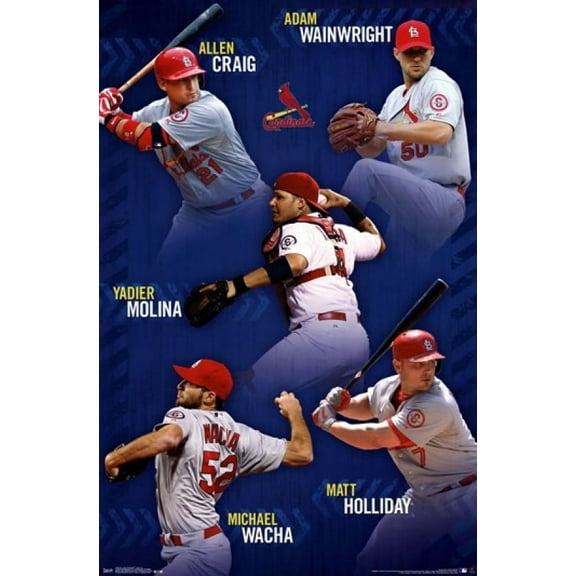 St. Louis Cardinals��_ - Team 14 Poster Print (22 x 34)