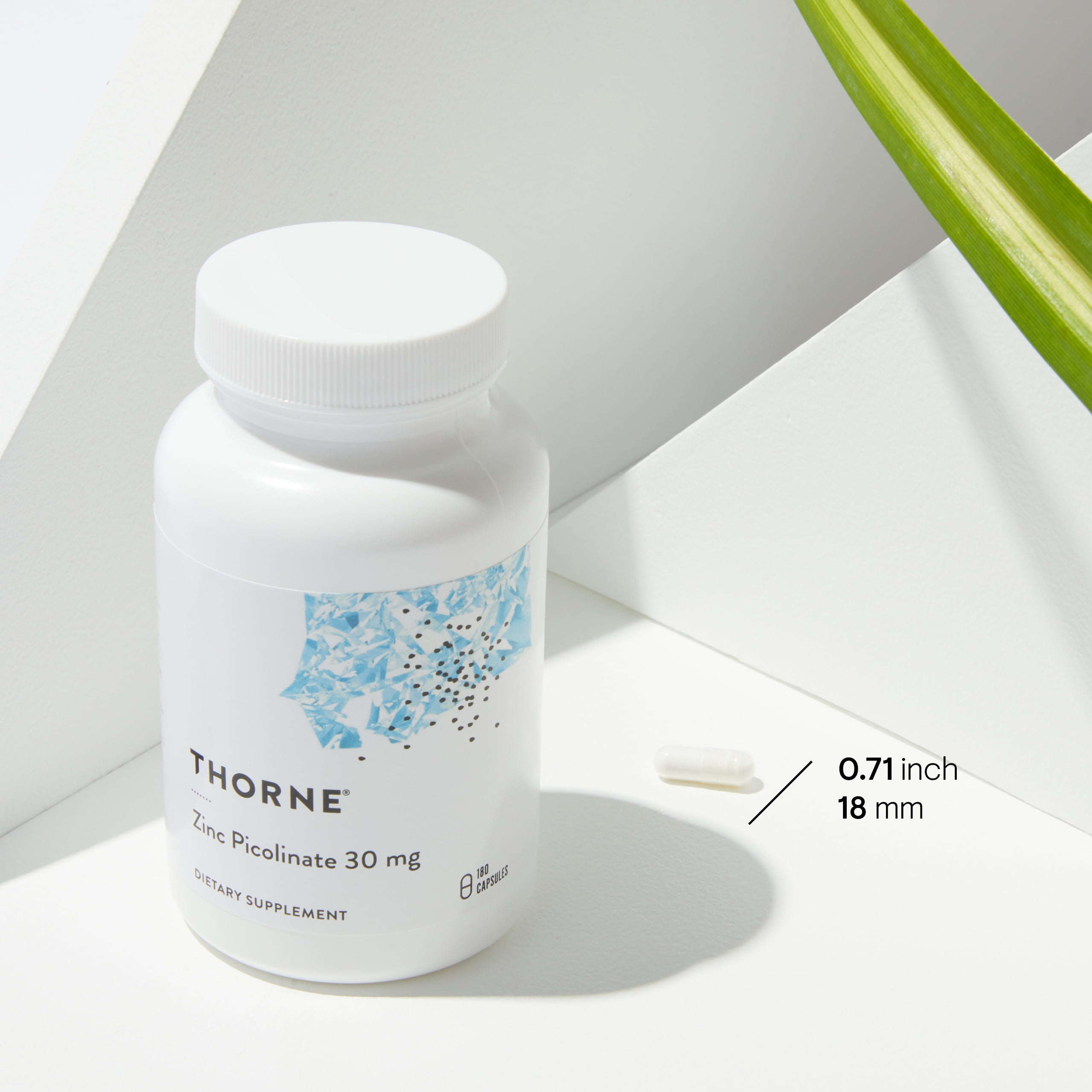 1198円 卸直営 Thorne Research - Zinc Bisglycinate 30 mg 60 Capsules 1198円 卸直営 Thorne Research - Zinc Bisglycinate 30 mg 60 Capsules