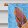 thumbnail image 3 of Carolines Treasures SC9054CHF Basenji Drapeau Toile Maison Taille, 3 of 4