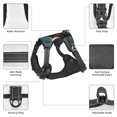 thumbnail image 3 of Vsdgher Forest River Bald Eagle Pattern Dog Harness,No Pull Pet Harness with Soft Padded Handle,Adjustable Reflective Vest with 2 Buckles,4 Slide Buckles,S-XL Large, 3 of 5