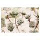 thumbnail image 1 of Cuadros Decorativos - Principe verde Jr  Canvas, 1 of 2