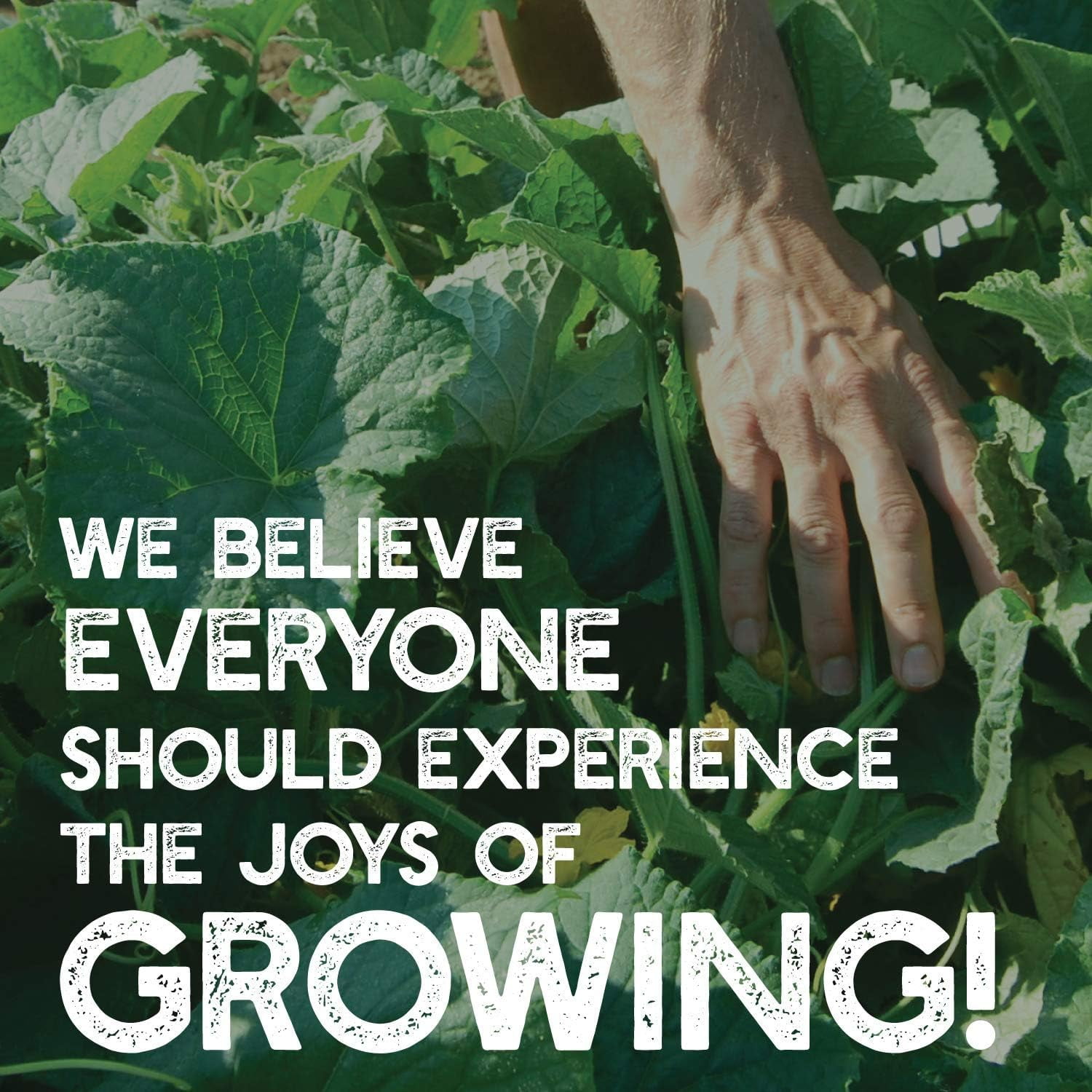Garden Cover Crop Mix Seeds - 5 Lbs - Blend of All Purpose Gardening Cover Crop Seeds: Hairy Vetch, Daikon Radish, Forage Collards, Triticale, More