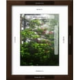thumbnail image 3 of Great Smoky Mountains National Park, North Carolina, USA, Botanical Scenic Framed Art Print Wall Art by Adam Jones Sold by Art.Com, 3 of 6