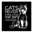 thumbnail image 1 of DistinctInk Custom Bumper Sticker - 4" x 4" Decorative Decal - Black Background - Cats Never Strike a Pose not Photogenic, 1 of 2