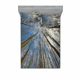 thumbnail image 2 of Nature Bedding Set with Sheet & Covers, Skyward Image of Leafless Twiggy Tree Trunk Cloudy Morning Nature Outdoor Print, Printed Bedroom Decor 2 Shams, 4 Sizes, Blue Brown, by Ambesonne, 2 of 3