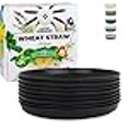 thumbnail image 2 of Grow Forward Premium Wheat Straw Plates - 10 Inch Reusable Hard Plastic Dinner Plates Set of 8 - Unbreakable Microwave Safe Plates for Dessert, Camping, RV, Outdoors, Patio, Kitchen Dishes - Midnight, 2 of 4