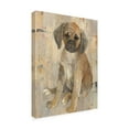thumbnail image 2 of Trademark Fine Art 'Paco' Canvas Art by Albena Hristova, 2 of 3