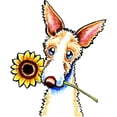 thumbnail image 2 of CafePress - Sunny Ibizan Hound Mugs - 11 oz Ceramic Mug - Novelty Coffee Tea Cup, 2 of 4
