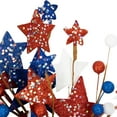 thumbnail image 5 of Northlight Stars and Stripes Glittered Patriotic Artificial Twig Wreath - 24", 5 of 9