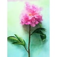 thumbnail image 2 of Orlov, Irena 25x32 White Modern Wood Framed Museum Art Print Titled - Pink Watercolor Peony I, 2 of 4