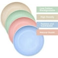thumbnail image 4 of Xiao Hua Plato hondo de paja de trigo de 8 piezas de 10 pulgadas: apto para microondas, lavable en lavavajillas, plato de plástico resistente que no es frágil, 4 colores, 4 of 5