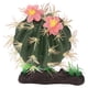 thumbnail image 5 of Adorno de plantas de cactus de reptiles, decoración de cactus de reptiles, plantas de reptiles, decoración de terrario, decoración de plantas de cactus artificiales, elaborado por expertos, 5 of 8