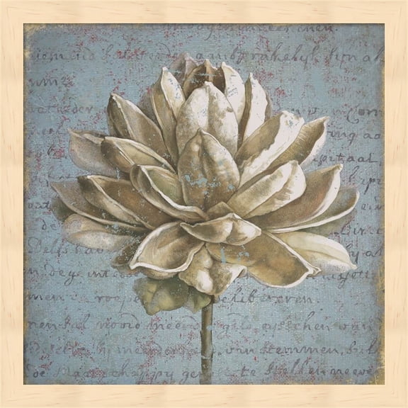 Seed Pod I no Stamp by Beth Grove, Framed Wall Art, 13.25W x 13.25H