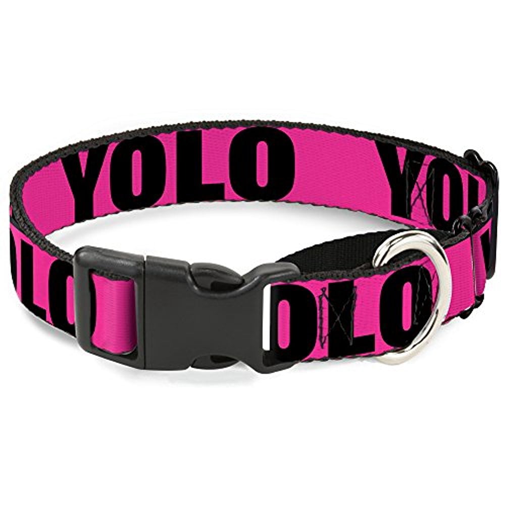 Buckle-Down YOLO Pink Black Martingale Dog Collar