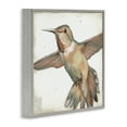 thumbnail image 3 of Stupell Industries Muted Hummingbird Portrait Animals Painting Gray Framed Art Print Wall Art, 12 x 12, 3 of 9