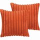thumbnail image 1 of Chenchen 18x18 Throw Pillow Covers Set of 2, Decorative Faux Fur Covers for Bed, Couch Soft Fluffy Pillow Cover with Velvet Back for Living Room, Neutral Home Décor Accent for Sofa - Burnt Orange, 1 of 1