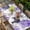 Purple, variant on Purple Ombre Spring Floral Table Cloths for 3 Foot Rectangle Tables, Summer Botanical Flowers Patio Waterproof Elastic Fitted Tablecloths, Washable Rectangular Table Cover for Camping