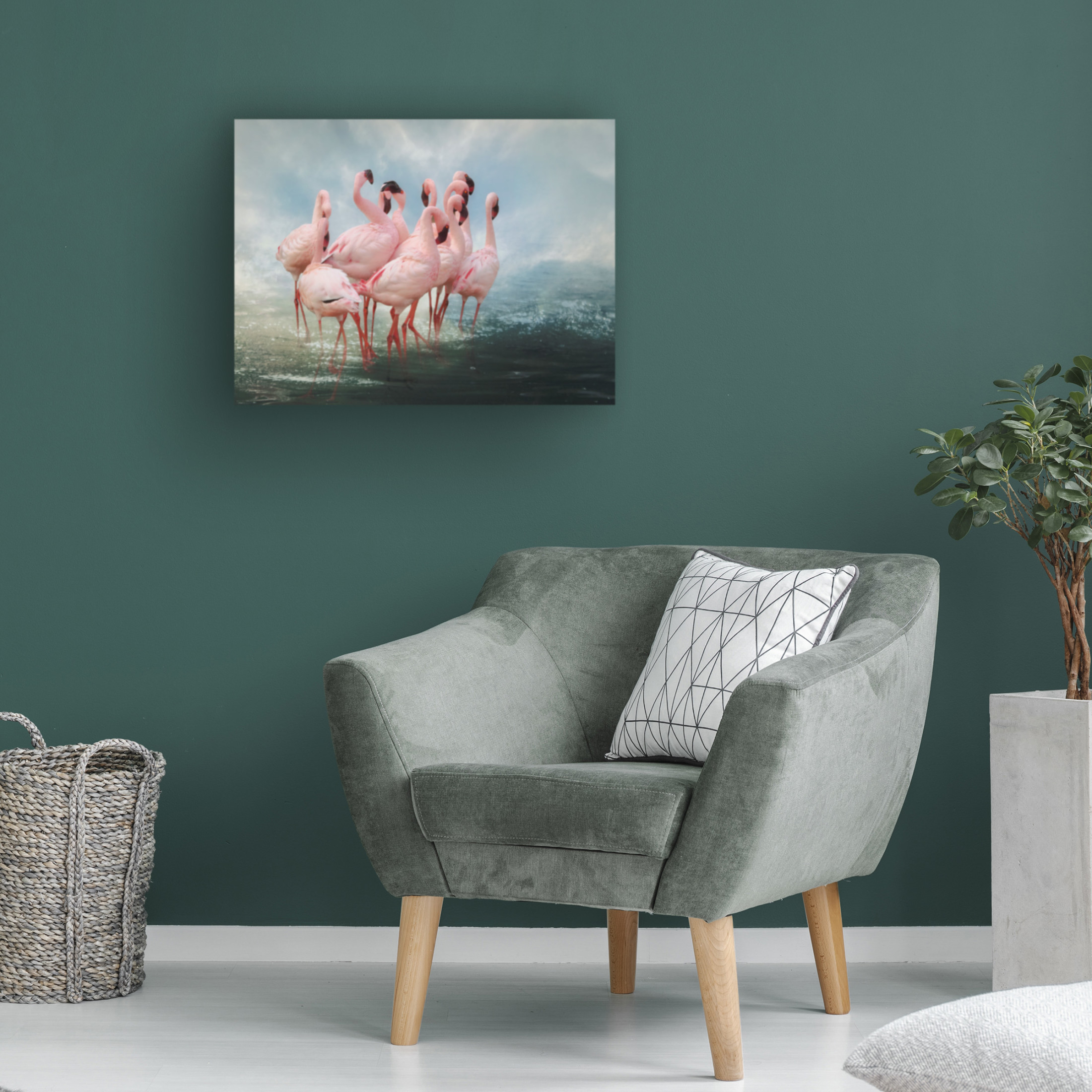 Trademark Fine Art Krystina Wisniowska Lesser Flamingo Summit Canvas Wall Art