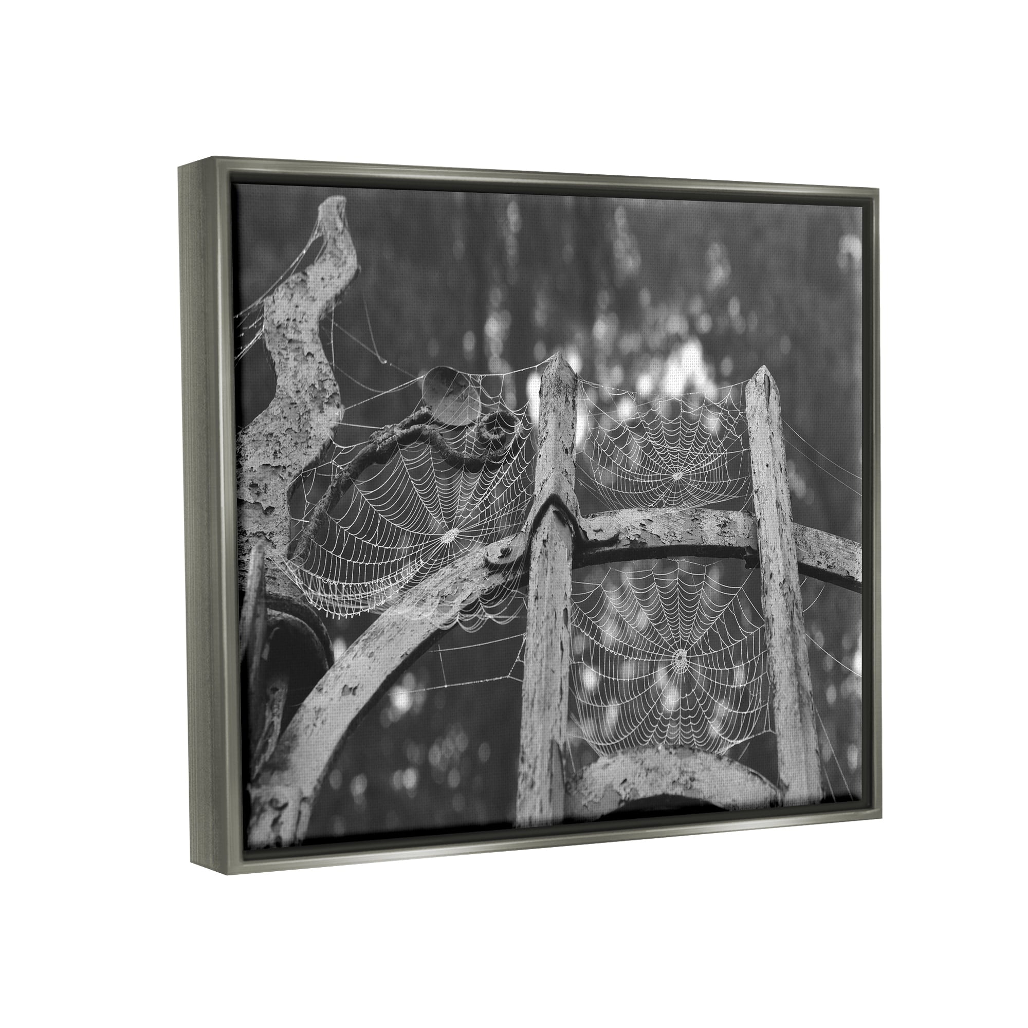 Stupell Industries Spooky Spider Webs Rustic Monochrome Gate Graphic Art Luster Gray Floating Framed Canvas Print Wall Art, Design by Daphne Polselli