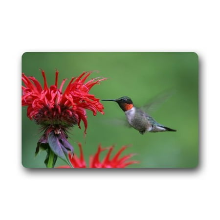 - WinHome Hummingbird with Flower Doormat Floor Mats Rugs Outdoors/Indoor Doormat Size 30x18 inches