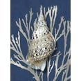 thumbnail image 2 of Kelly, Caroline 15x18 White Modern Wood Framed Museum Art Print Titled - Shell Coral Silver on Blue I, 2 of 4