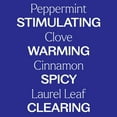 thumbnail image 4 of Plant Therapy Organic Rapid Relief Essential Oil Blend 10 mL (1/3 oz) Pain and Soreness Blend 100% Pure, Undiluted, Natural Aromatherapy, 4 of 9