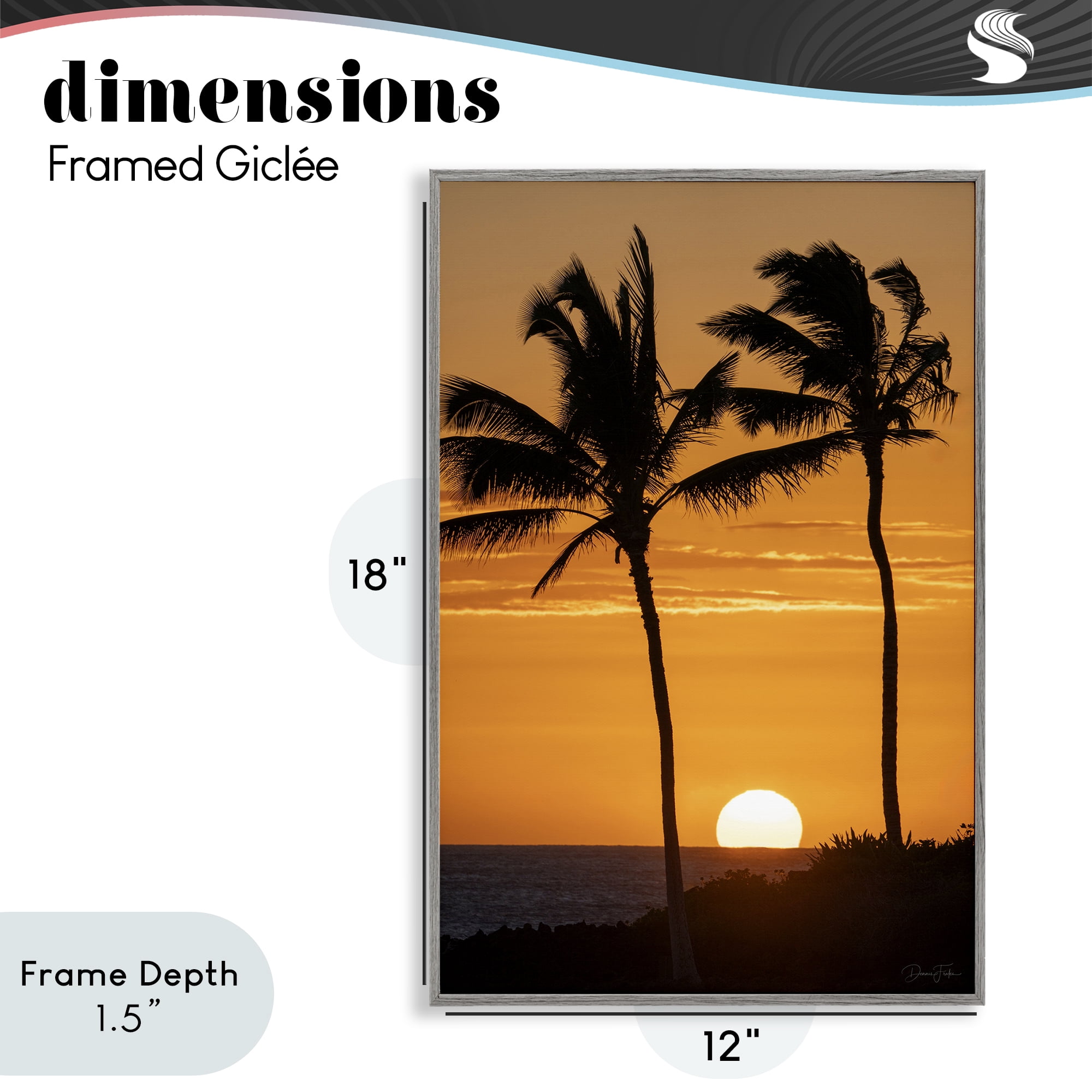 Stupell Industries Sunset Through Palm Trees Gray Framed Giclee Art, design by Dennis Frates