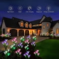 thumbnail image 5 of Jardín de luz solar, 3 paquetes de luces solares al aire libre, lámpara de jardín Lily luces solares con flor más grande y panel solar más amplio compatible con decoración de jardín Afortunado Sencillez, 5 of 5