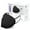 Black, variant on WellBefore Welcome Series KN95 Face Mask, Black, Medium, Pack of 50