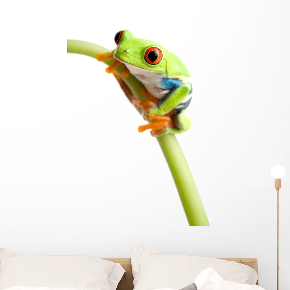Green Bamboo Wall Decal By Wallmonkeys Peel And Stick Graphic (18 In H X 17 In W) WM157175-194964