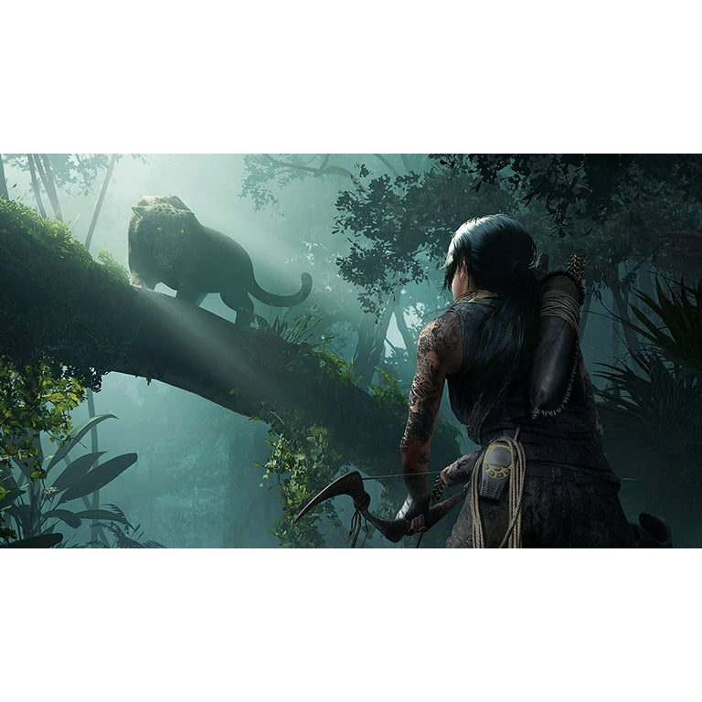 Amazon.com: Tomb Raider Definitive Edition : Video Games