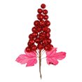 thumbnail image 1 of Pick De Uvas Diamantado 21cm | Fantasias Miguel Fantasias Miguel Mylin 8769, 1 of 1