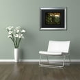 thumbnail image 2 of Trademark Fine Art "Window Wall II" Canvas Art by Philippe Hugonnard, Black Matte, Silver Frame, 2 of 3