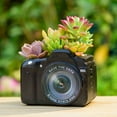 thumbnail image 2 of Plant Pot Creative Telephone Camera Resin Flowerpot Succulents Planter Planting Container, 2 of 14