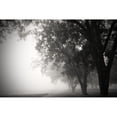 thumbnail image 3 of Putman, Tammy 24x17 Black Modern Framed Museum Art Print Titled - Morning Walk, 3 of 5