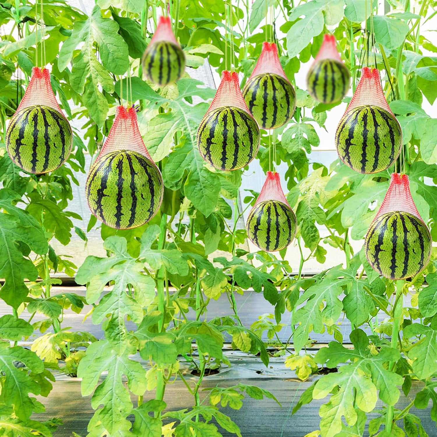 HYG 200 Pcs Hanging Watermelon Nets Bags Melon Hammocks Cradles Watermelon Nets with Drawstring Hanging Watermelon Support Nets for Trellis Vertical Garden Growing