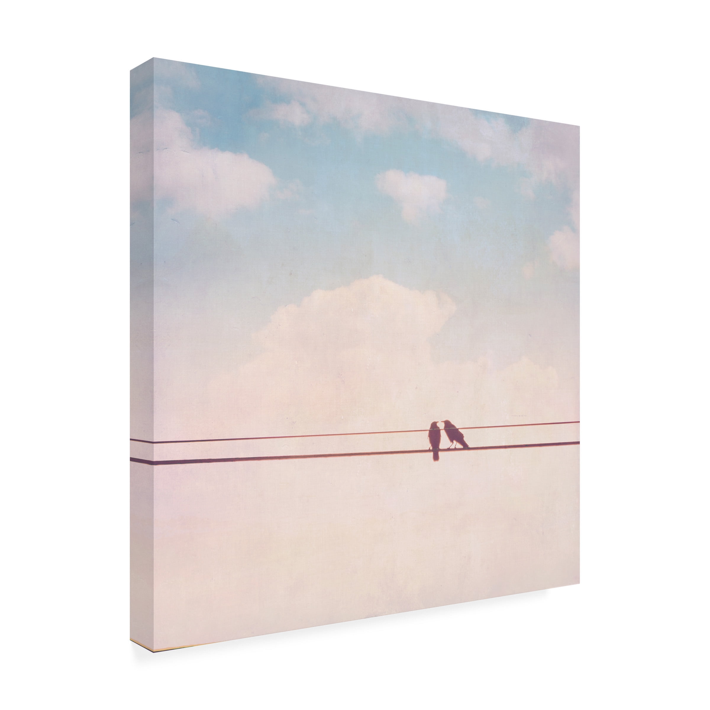 Thomas Brown 'Birds on Wires II' Canvas Art