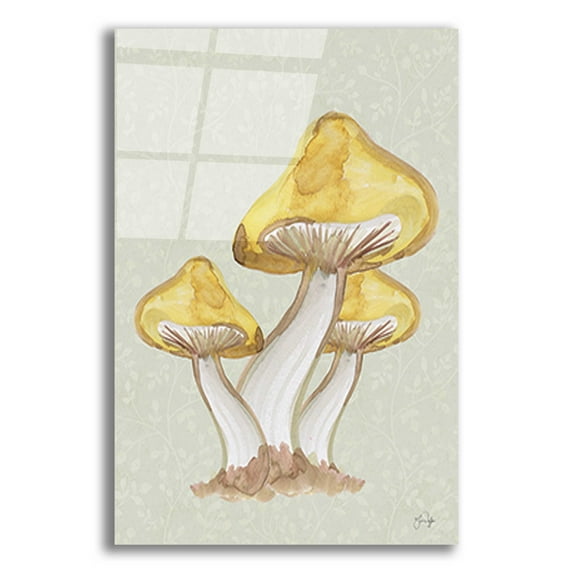 Epic Art 'Calming Mushrooms' by Yass Naffas Designs, Acrylic Glass Wall Art, 12"x16"
