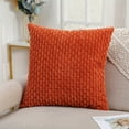 thumbnail image 1 of Fiudx Funda de Almohada de Pana, Suave y Acogedora, con Cremallera Oculta, Fácil de Cuidar, Ideal para Sala de Estar, Oficina y Dormitorio, Elegante Accesorio para El Hogar, Tela Duradera., 1 of 6
