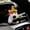 Style a, variant on Car Hand Gear Decoration Turn * Puppy Doll Wiper Doll Ornamentsa3d81212