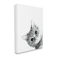 thumbnail image 3 of Stupell Industries Monochrome Cat Kitten Peeking Glasses Portrait, 16 x 20, Design by Annalisa Latella, 3 of 5